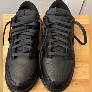 Men’s Nike Dunk Low Gore Tex 10 New Condition